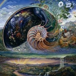 Grafika Josephine Wall - Nautilus
