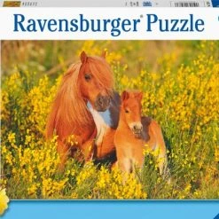 Ravensburger Puzzel Shetland Pony's - Legpuzzel - 100XXL Stukjes