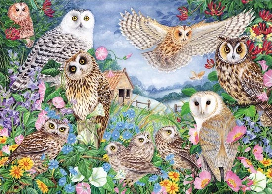 Falcon Puzzel Owls In The Wood - Legpuzzel - 1000 Stukjes 7 Falcon Puzzel Owls In The Wood - Legpuzzel - 1000 Stukjes - Afbeelding 7