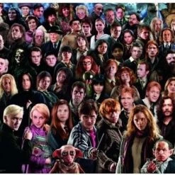 Ravensburger Puzzel Harry Potter Challenge - Legpuzzel - 1000 Stukjes -Exporteren puzzels winkel 550x395
