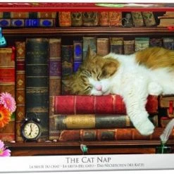 Eurographics Legpuzzel - Slapende Kat In Boekenkast - 500 Extra Grote Puzzelstukken- Ouderen / Slechtziende