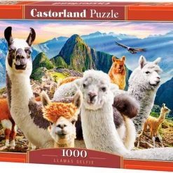 Castorland Llamas Selfie - 1000pcs