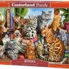 Castorland Legpuzzel House Of Cats - 2000 Stukjes
