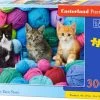 Castorland Kittens In Yarn Store 300pcs