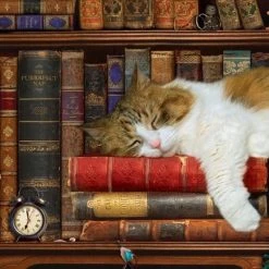 Eurographics Legpuzzel - Slapende Kat In Boekenkast - 500 Extra Grote Puzzelstukken- Ouderen / Slechtziende -Exporteren puzzels winkel 550x400 2