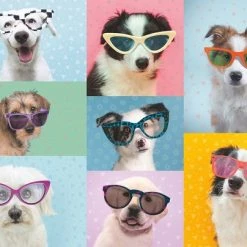 Ravensburger Puzzel Dog Photo - Legpuzzel - 150XXL Stukjes -Exporteren puzzels winkel 550x404 18