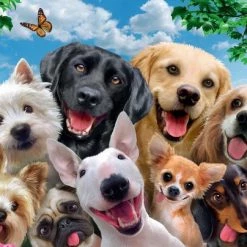 Ravensburger Puzzel Hondenselfie - Legpuzzel - 300XXL Stukjes -Exporteren puzzels winkel 550x404 6