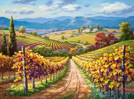 Castorland Vineyard Hill 3000 Pcs Legpuzzel 3000 Stuk(s) Liggend 1 Castorland Vineyard Hill 3000 Pcs Legpuzzel 3000 Stuk(s) Liggend