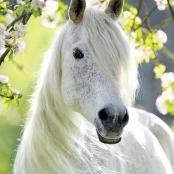 Ravensburger Puzzel Merrie In De Lente - Legpuzzel - 500 Stukjes -Exporteren puzzels winkel 550x749