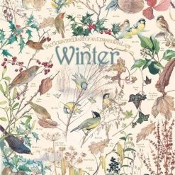 Country Diary: Winter 1000 Cobble Hill Edith Holden